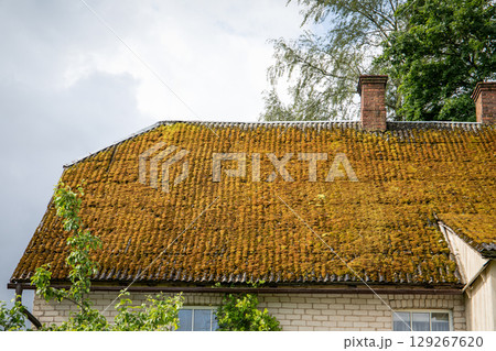 Old Roof Covered with Moss Indicating Age, Neglect, and Natural Overgrowth in Humid Climate Old Roof Covered with Moss Indicating Age, Neglect, and Natural Overgrowth in Humid Climate 129267620