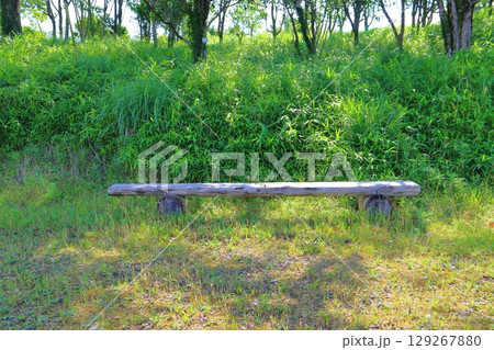 夏の雑木林　斜面下のベンチ 129267880