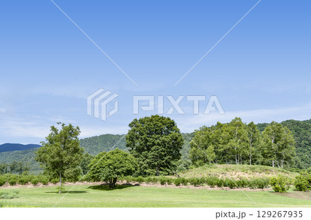 夏の開田高原(木曽馬の里) 夏の開田高原(木曽馬の里) 129267935