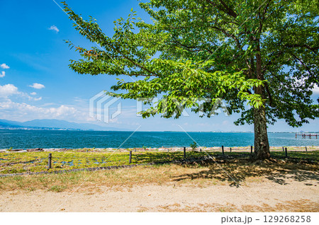 琵琶湖なぎさ公園夏景色 滋賀県大津市 琵琶湖なぎさ公園夏景色 滋賀県大津市 129268258