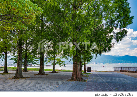 琵琶湖なぎさ公園夏景色　滋賀県大津市 129268265