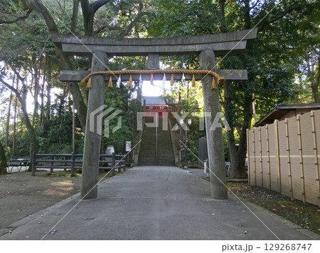 川越仙波東照宮の石鳥居（埼玉県川越市） 129268747