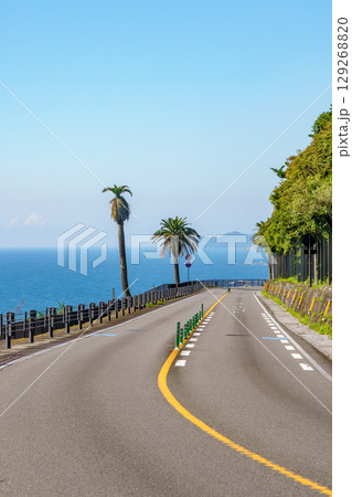 宮崎県堀切峠から望む日南海岸 宮崎県堀切峠から望む日南海岸 129268820