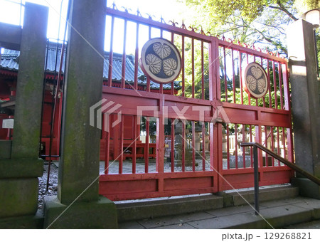 川越仙波東照宮の拝殿の門（埼玉県川越市） 129268821