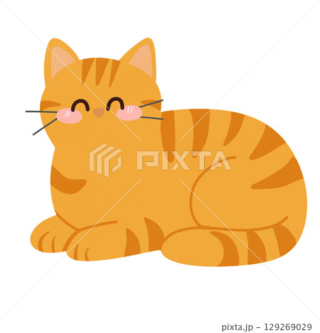 Cute cat 129269029