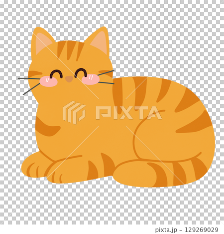 Cute cat 129269029