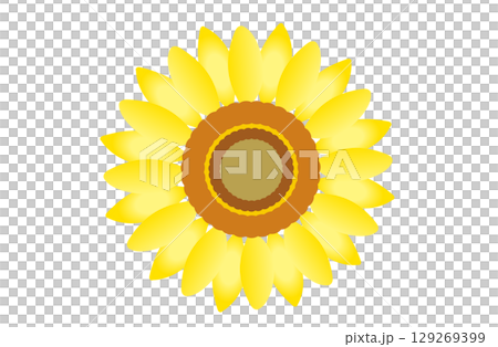 向日葵插圖12 129269399