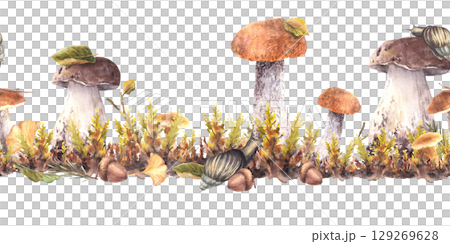 Snail on cap of porcini and boletus mushroom with forest moos seamless border. Watercolor nature scene with slug, fungi and autumn leaves. Watercolor hand drawn illustration isolated from background 129269628