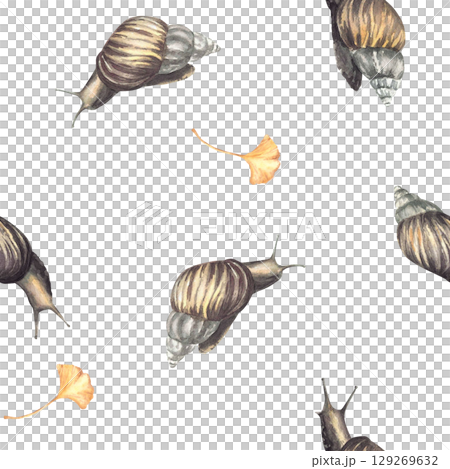 Watercolor Snail with ginkgo leaf seamless pattern. Slug design realistic hand painted illustration. Cochlea with yellow gingko leaves. Clipart for fabric, cosmetic packaging Isolated from background. 129269632