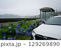 紫陽花のある風景 129269890