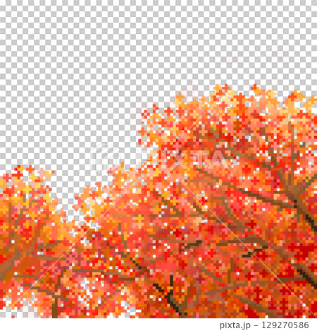 樹與秋天的葉子 樹與秋天的葉子 129270586