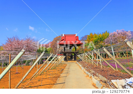 万勝寺参道入口から見る境内全景 129270774