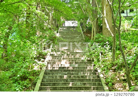 新緑の木々に覆われた谷厳寺の参道 新緑の木々に覆われた谷厳寺の参道 129270780