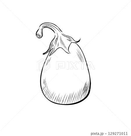 Cartoon Vector of Hand Drawn Eggplant Illustration 129271011