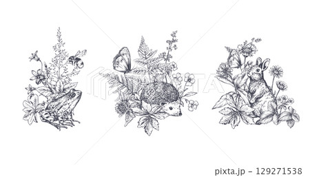 Set of vector compositions with meadow wildflowers, herbs, plants, animals. Beautiful summer illustrations. Set of vector compositions with meadow wildflowers, herbs, plants, animals. Beautiful summer illustrations. 129271538