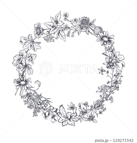 Vector wreath of meadow wildflowers, herbs, plants. Different flowers in beautiful design for wedding invitation, greeting card. Vintage style. 129271542