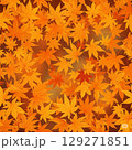 背景の使用に最適な日本の秋の紅葉 129271851