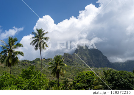 Mount Temetiu near Atuona, Hiva Oa, French Polynesia, Marquesas Islands Mount Temetiu near Atuona, Hiva Oa, French Polynesia, Marquesas Islands 129272230