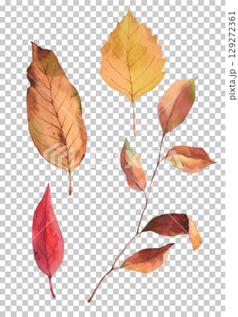 Autumn plant watercolor illustration. Autumn plant watercolor illustration. 129272361