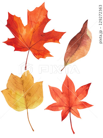 Autumn plant watercolor illustration. 129272363
