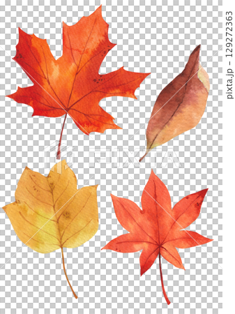 Autumn plant watercolor illustration. 129272363
