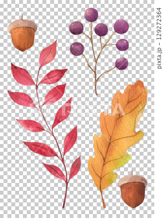 Autumn plant watercolor illustration. Autumn plant watercolor illustration. 129272364