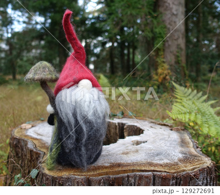 切り株の上のトムテ 切り株の上のトムテ 129272691