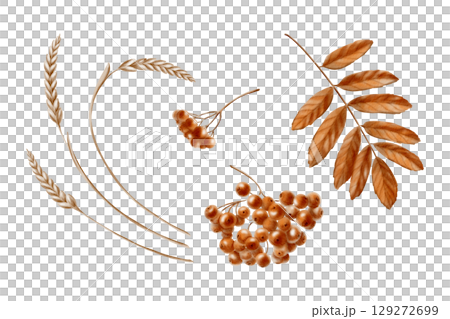A branch of a rowan tree and a leaf in monochrome autumn orange and brown color as a symbol of autumn,harvest.Festive watercolor clipart for thematic invitations isolated on transparent background 129272699