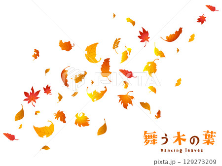 舞う木の葉_1 舞う木の葉_1 129273209