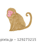 横を向いて座る猿 129273215