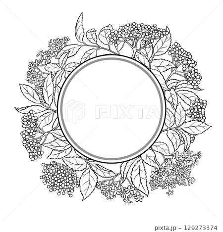 Elderberries Branch Outline Round Frame. Elderberries Branch Outline Round Frame. 129273374