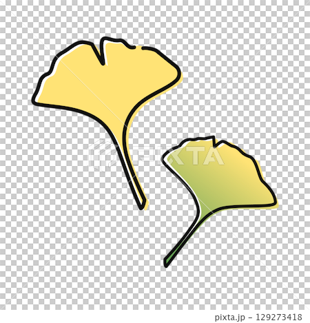 Leaves of ginkgo biloba Leaves of ginkgo biloba 129273418