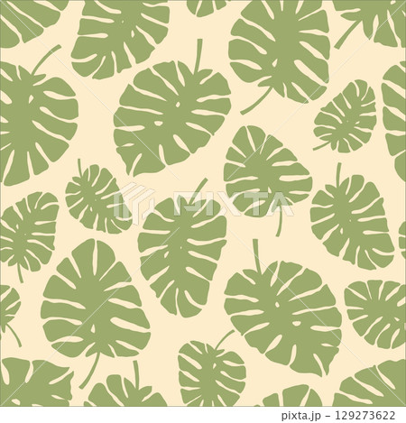 Minimalist Green Monstera Leaves Tropical Background 129273622