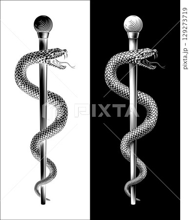 Rod of Asclepius Caduceus Medical Doctor Symbol Rod of Asclepius Caduceus Medical Doctor Symbol 129273719
