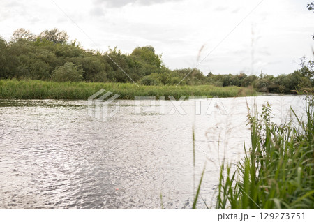 Serene river with lush green trees and grasses on a cloudy day in nature 129273751