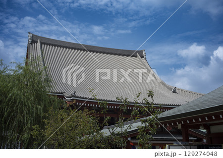 東京　夏の浅草　浅草寺 129274048