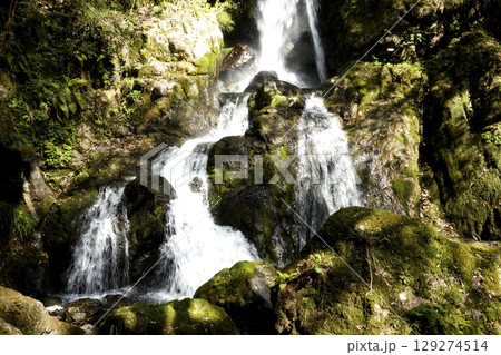 島根県 益田市 美都町にある双川峡 養戸の滝 島根県 益田市 美都町にある双川峡 養戸の滝 129274514