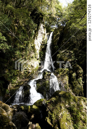 島根県 益田市 美都町にある双川峡 養戸の滝 島根県 益田市 美都町にある双川峡 養戸の滝 129274516