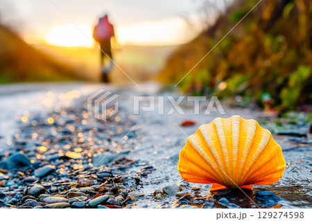 Yellow scallop shell symbol marking the Camino de Santiago 129274598
