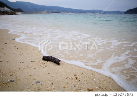 砂浜に打ち上げられた木片 129275672