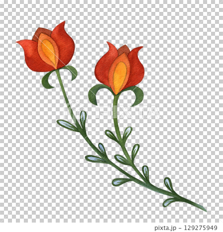 Watercolor illustration of flowers, Slavic Russian floral art. Hand drawn isolated on white background. Drawing for printing on invitation cards Watercolor illustration of flowers, Slavic Russian floral art. Hand drawn isolated on white background. Drawing for printing on invitation cards 129275949