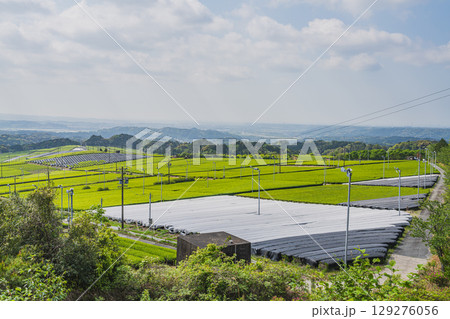 磐田市の広がる茶畑の風景(静岡県) 磐田市の広がる茶畑の風景(静岡県) 129276056