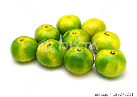 みかん（日南一号） 129276211