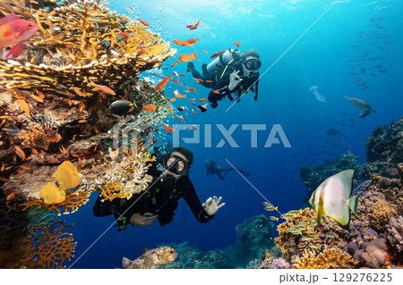 Scuba Diver Swimming in Deep Sea with Sunrays and Beautiful Coral Reef with Colorful Fishes 129276225