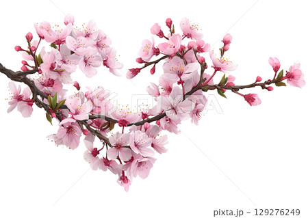 Cherry blossom heart shape. AI-generated item Cherry blossom heart shape. AI-generated item 129276249