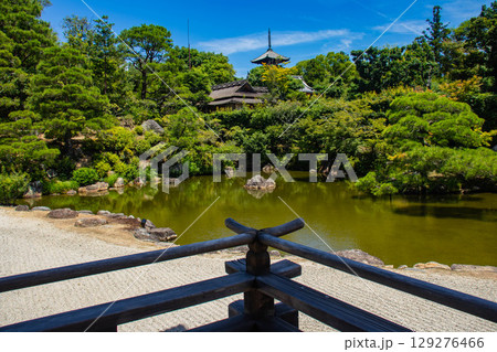 【京都風景】仁和寺　池泉越しの五重塔と気品ある庭 129276466