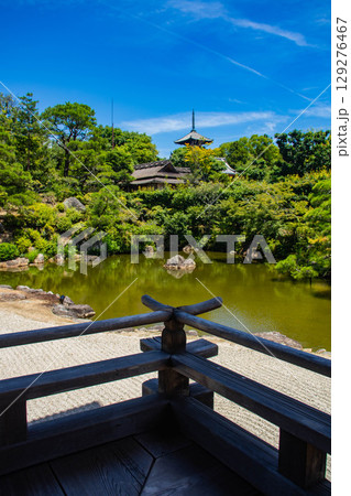 【京都風景】仁和寺 池泉越しの五重塔と気品ある庭 【京都風景】仁和寺 池泉越しの五重塔と気品ある庭 129276467