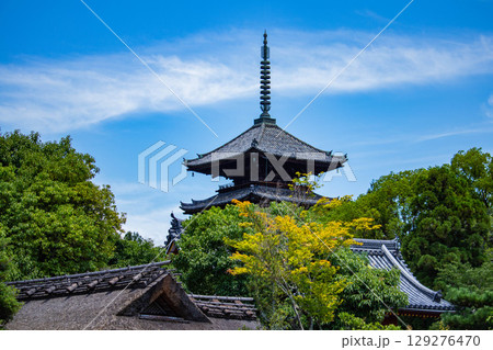 【京都風景】仁和寺 池泉越しの五重塔と気品ある庭 【京都風景】仁和寺 池泉越しの五重塔と気品ある庭 129276470