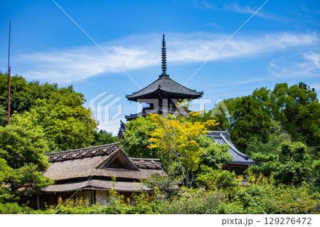 【京都風景】仁和寺　池泉越しの五重塔と気品ある庭 129276472