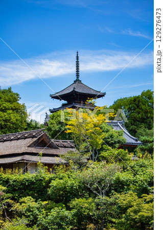 【京都風景】仁和寺　池泉越しの五重塔と気品ある庭 129276473